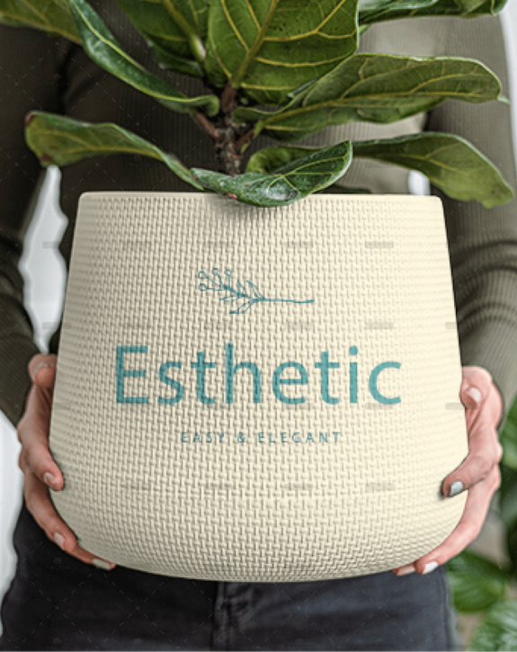 demo-attachment-205-Rectangle-6